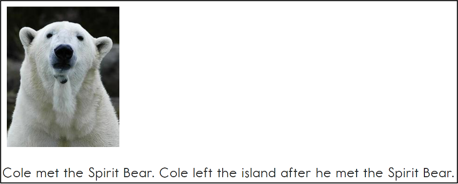 This image contains an image of a polar bear with the following text: Cole met the Spirit Bear. Cole left the island after he met the Spirit Bear.